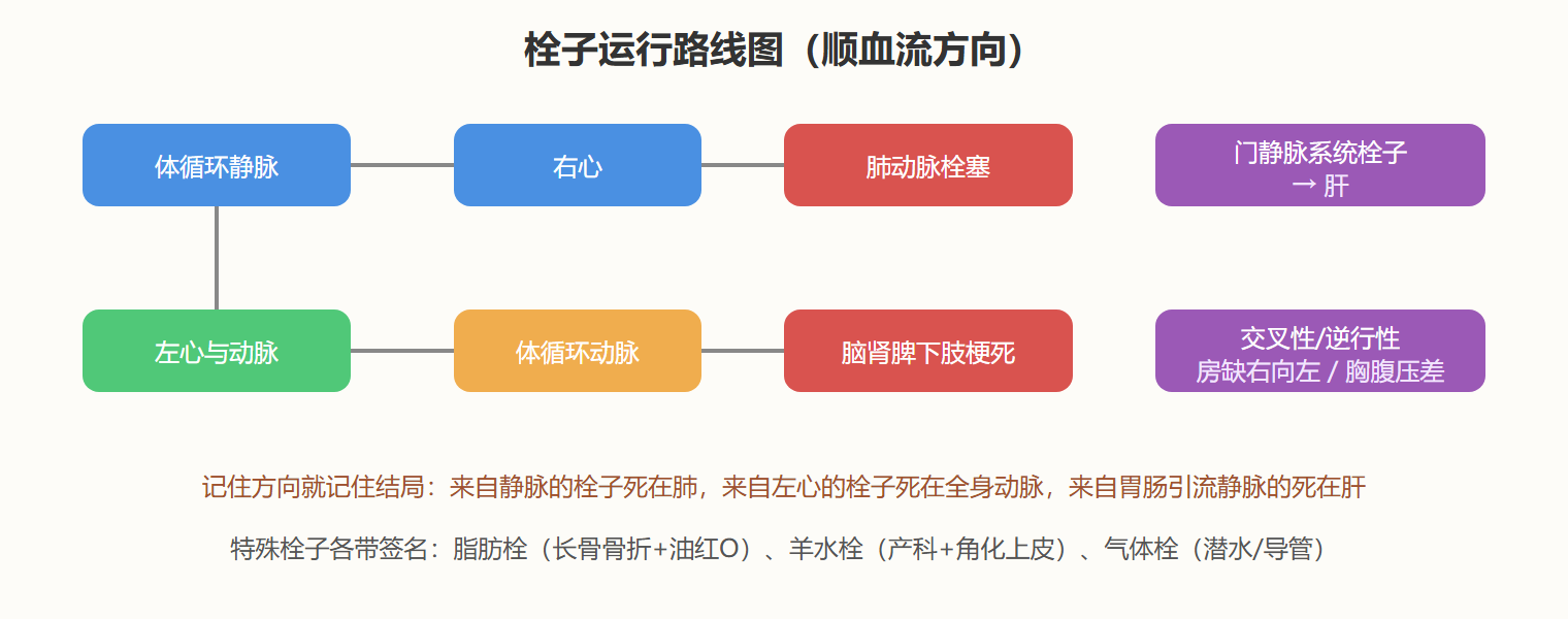 结案与教训