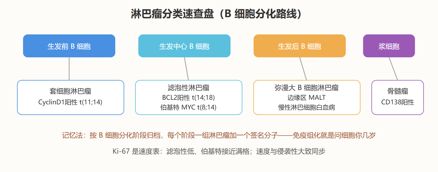 结案与教训