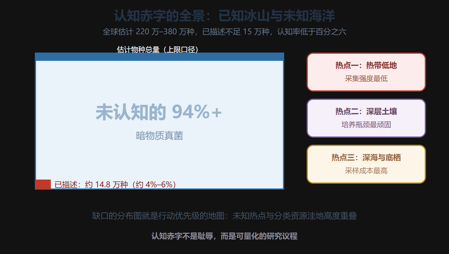 认知赤字的全景图
