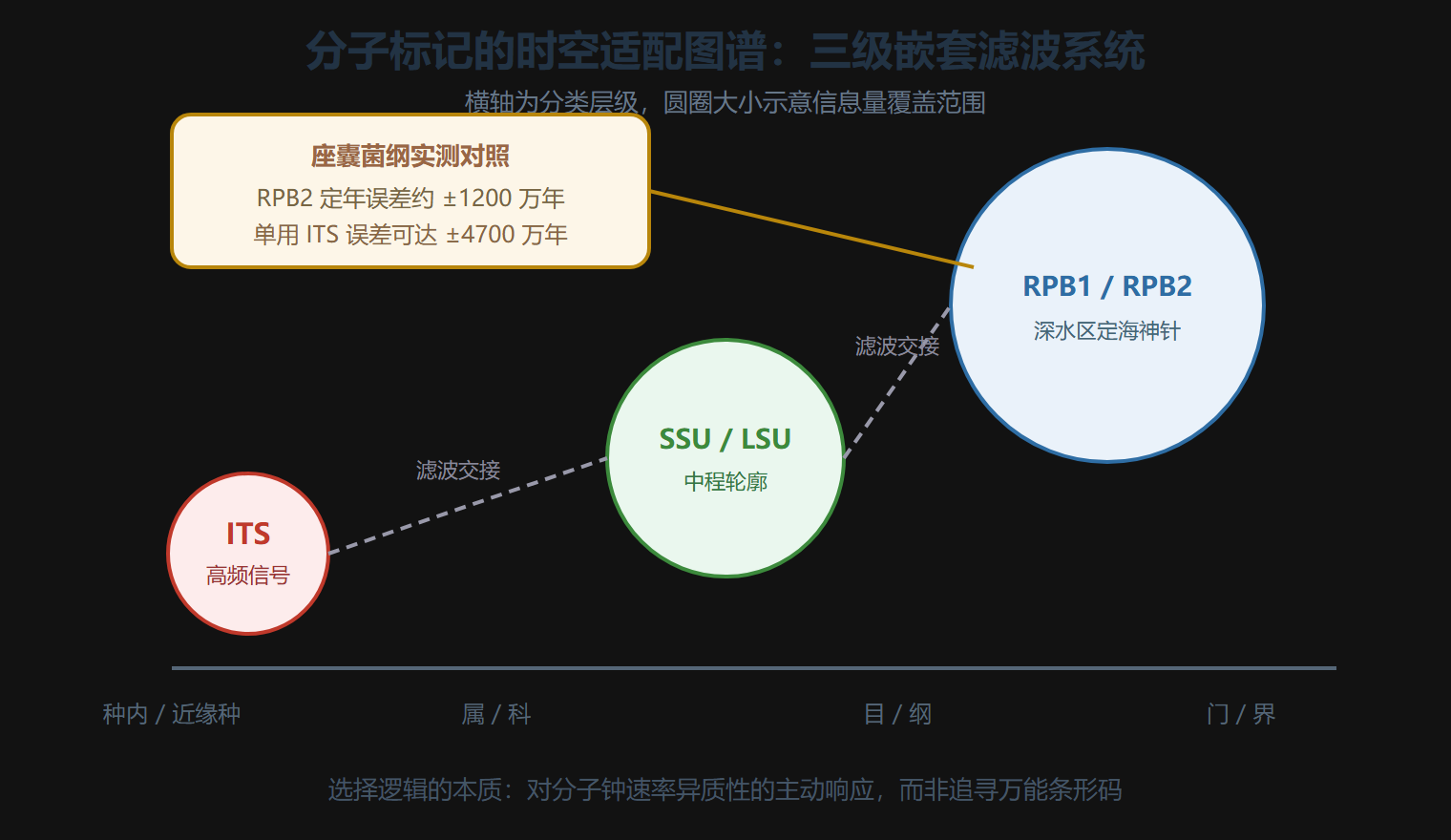 分子标记的时空适配图谱