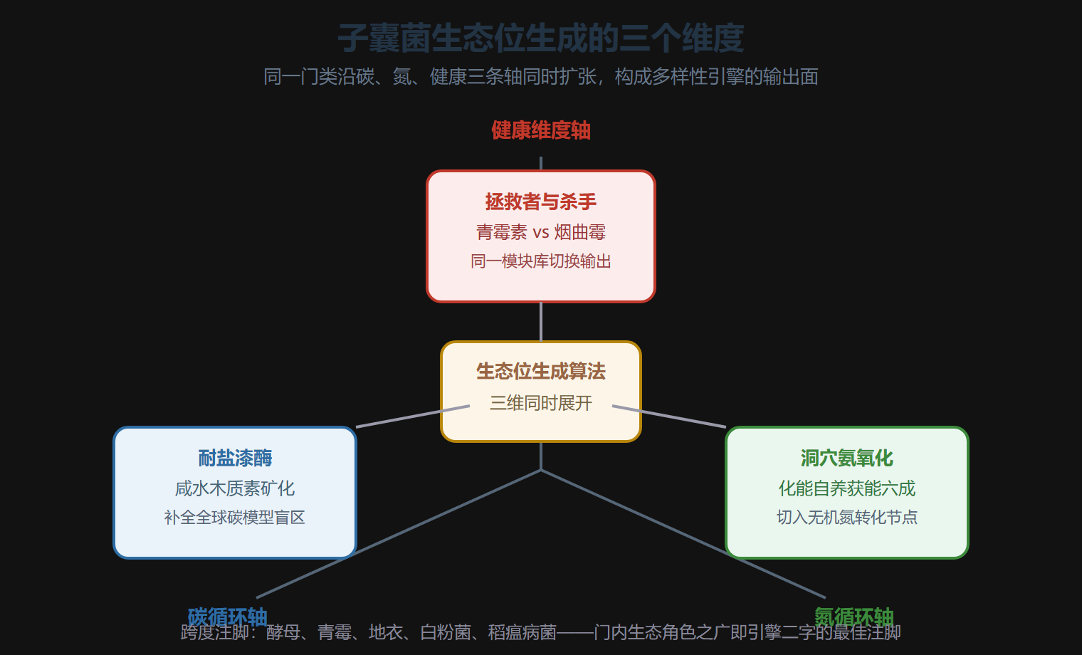 子囊菌生态位生成的三个维度