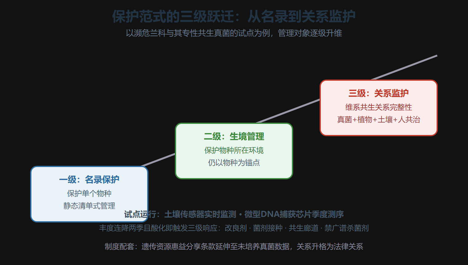 保护范式的三级跃迁