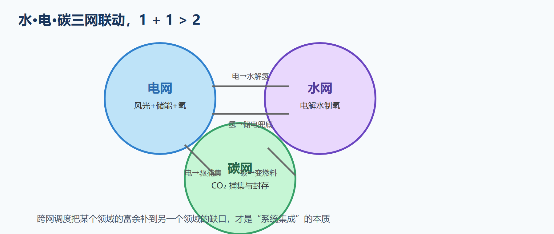 水·电·碳三网联动的减碳放大器