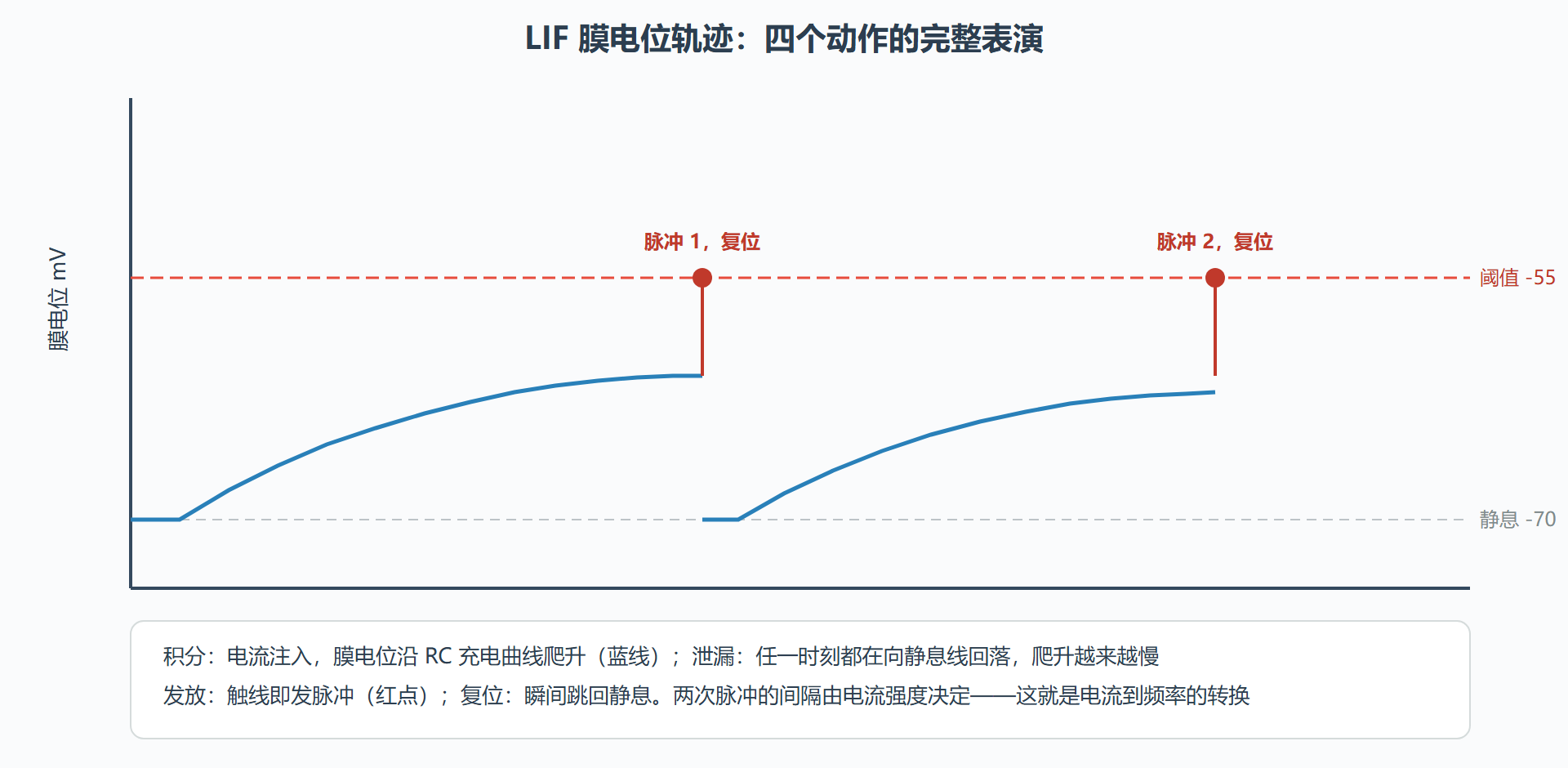 图:LIF 神经元的膜电位动力学——积分、泄漏、阈值与复位