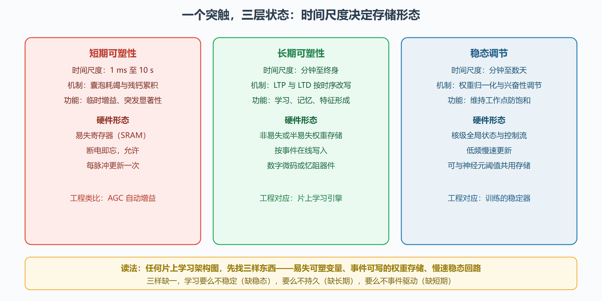 图：突触的三层状态与对应硬件形态