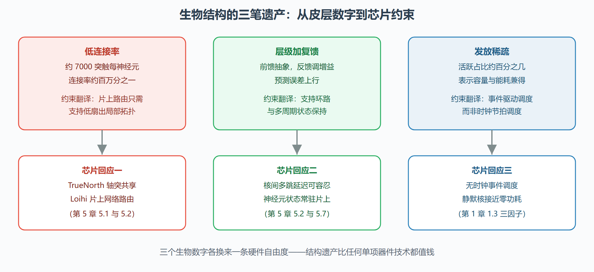 图:皮层组织三原则到芯片约束的映射