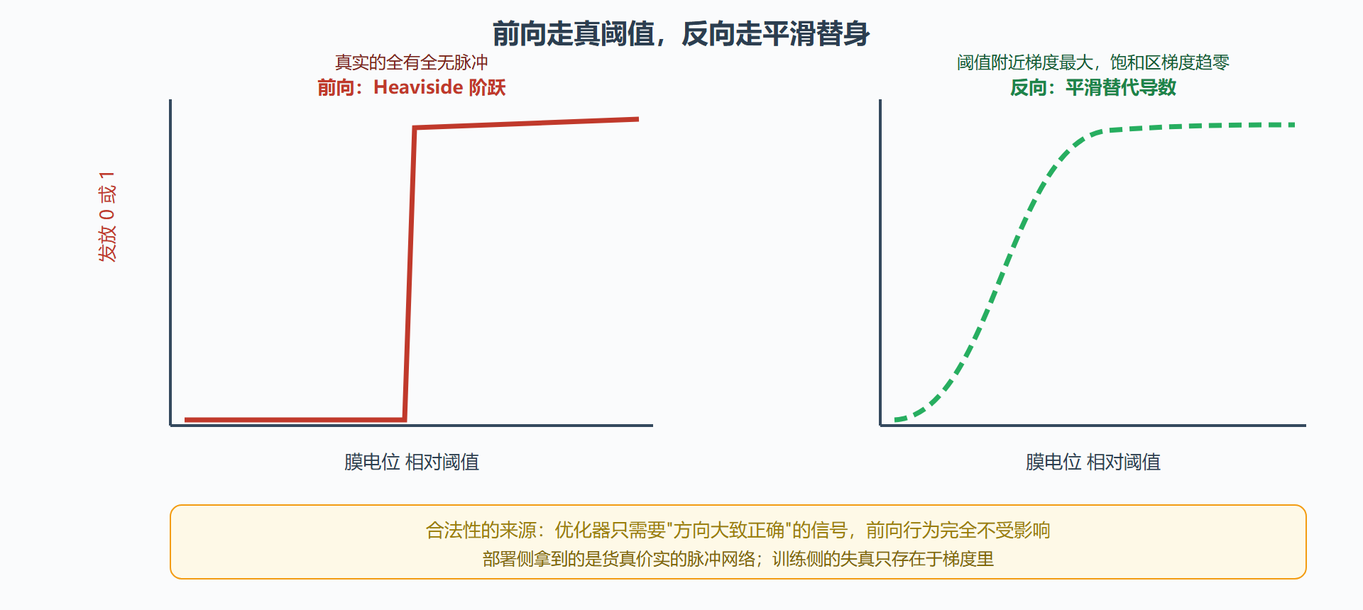 图:替代梯度与前向-反向不对称示意