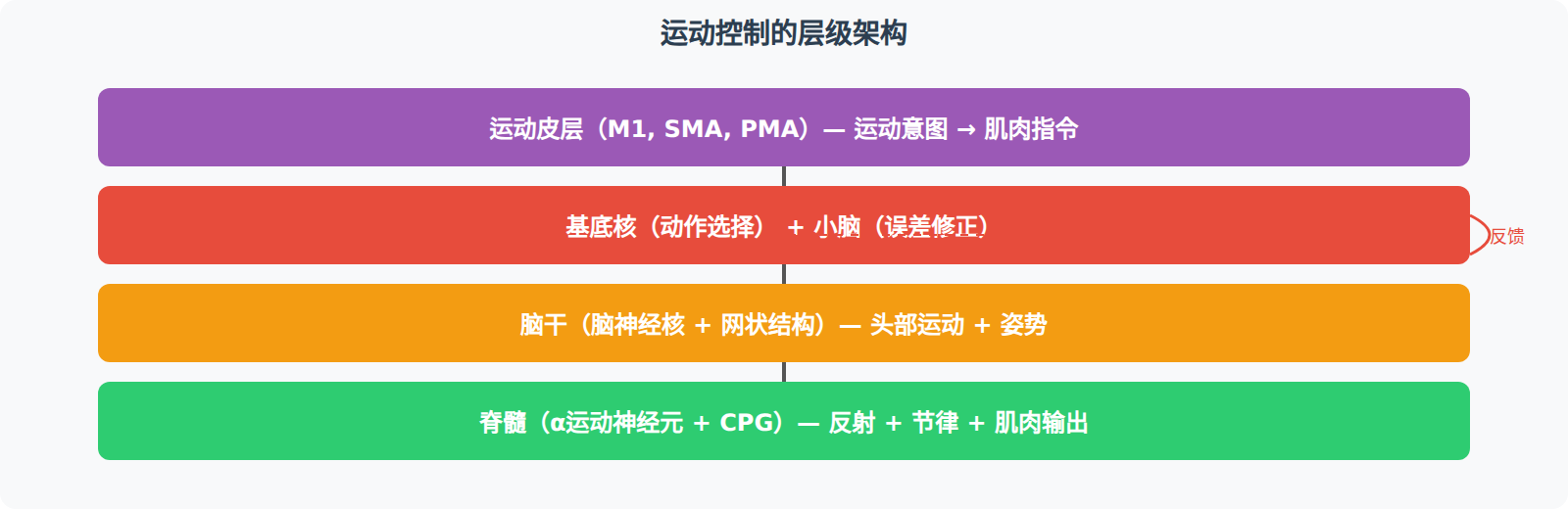 姿势调节