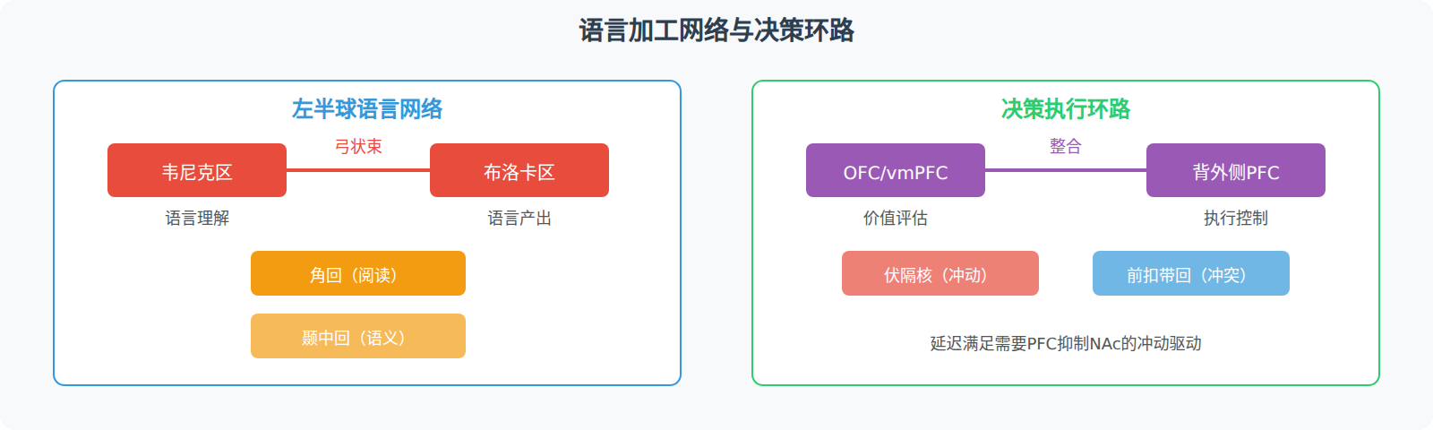 躯体标记假说