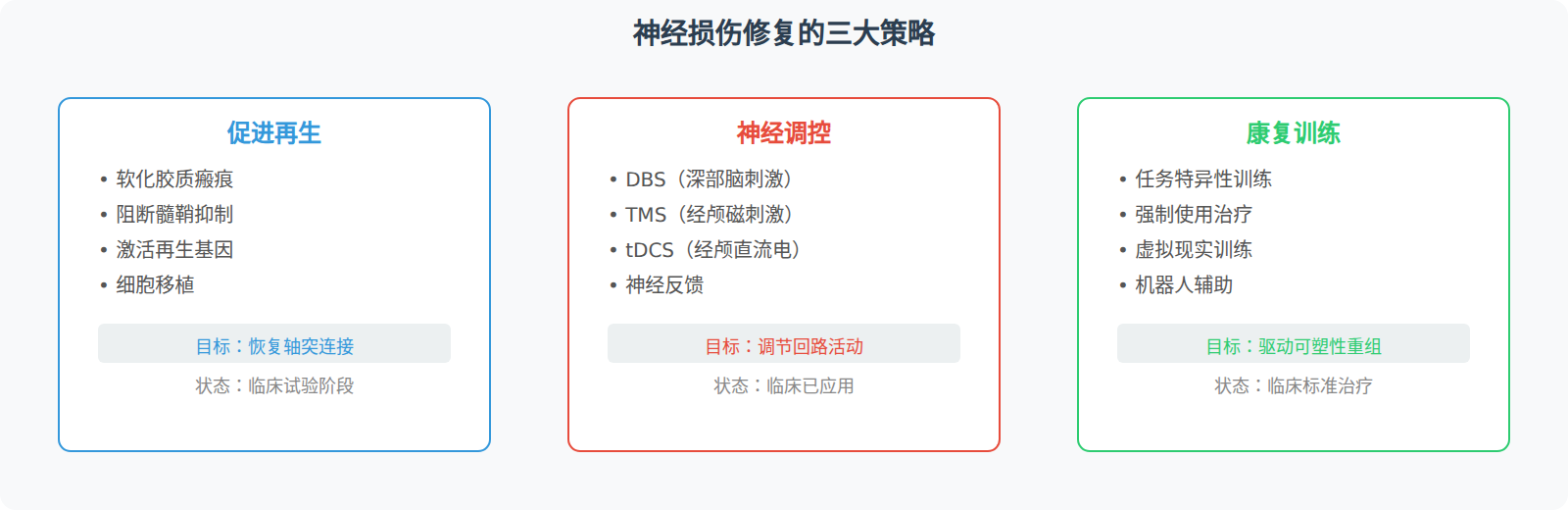 康复训练:可塑性驱动的恢复