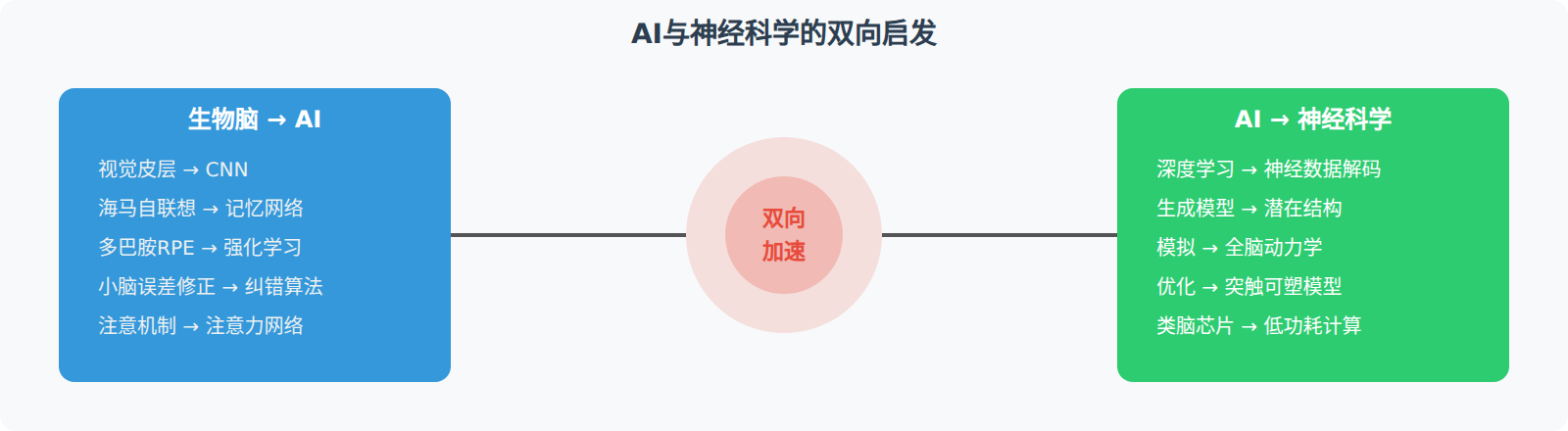 类脑计算硬件