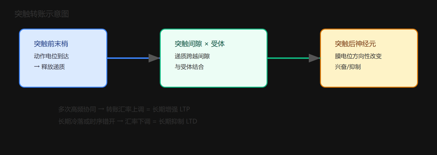 三、把突触放进一张标注图