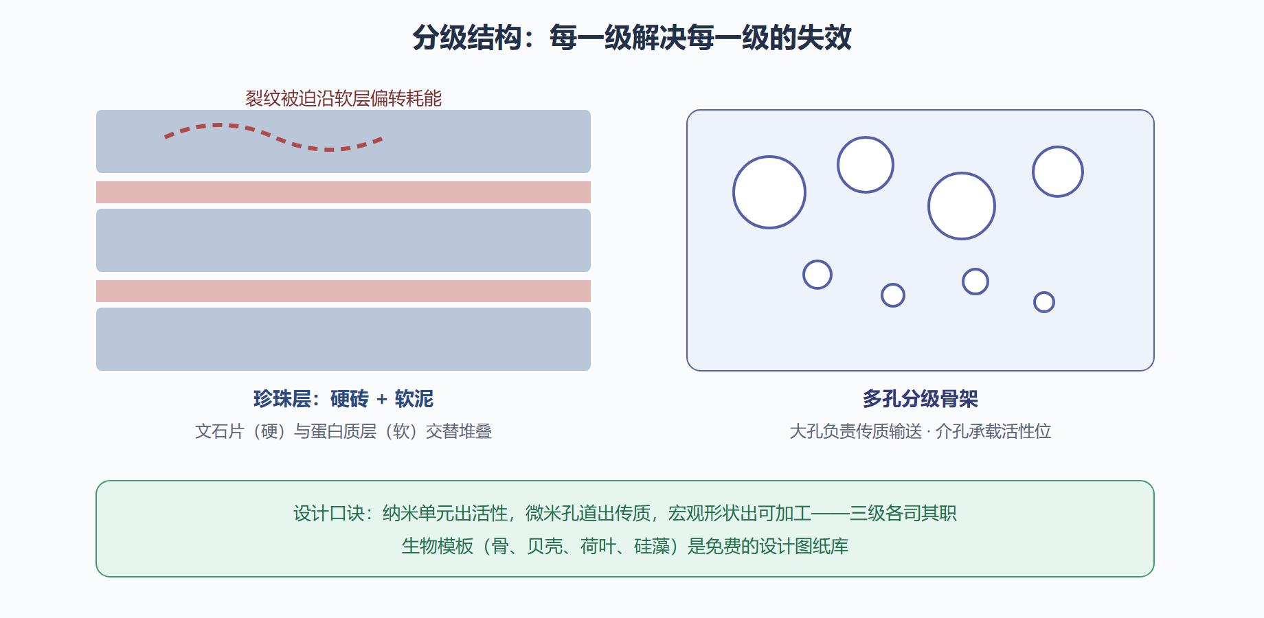 坍缩的反向操作