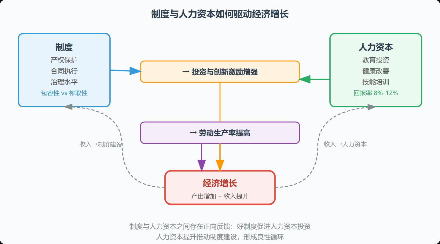 图7 制度与人力资本推动经济增长的机制