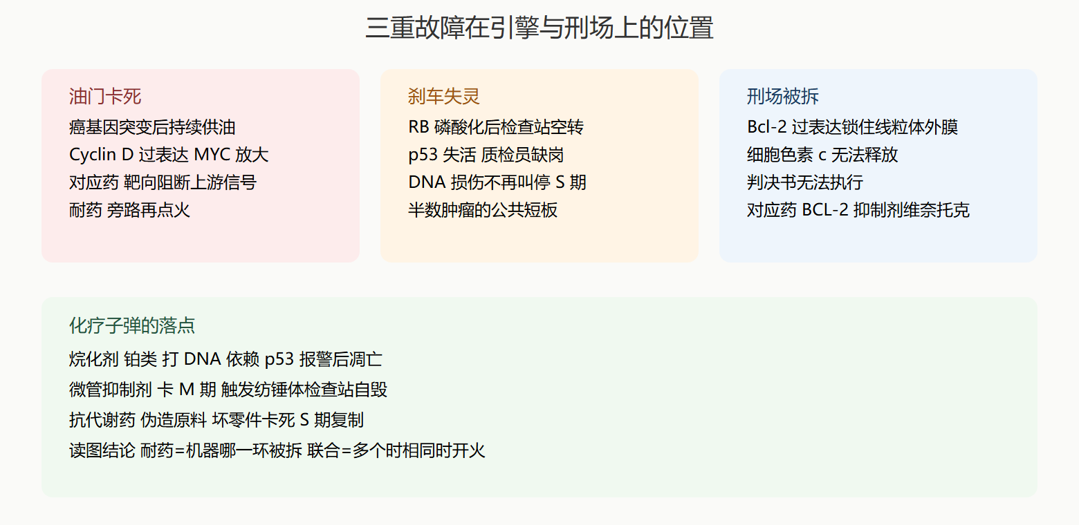 周期-凋亡故障图