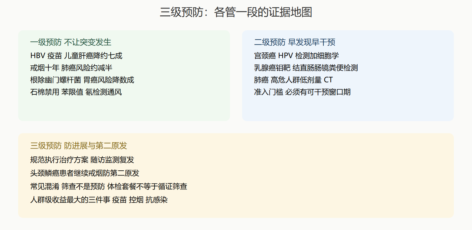 预防分层与证据地图