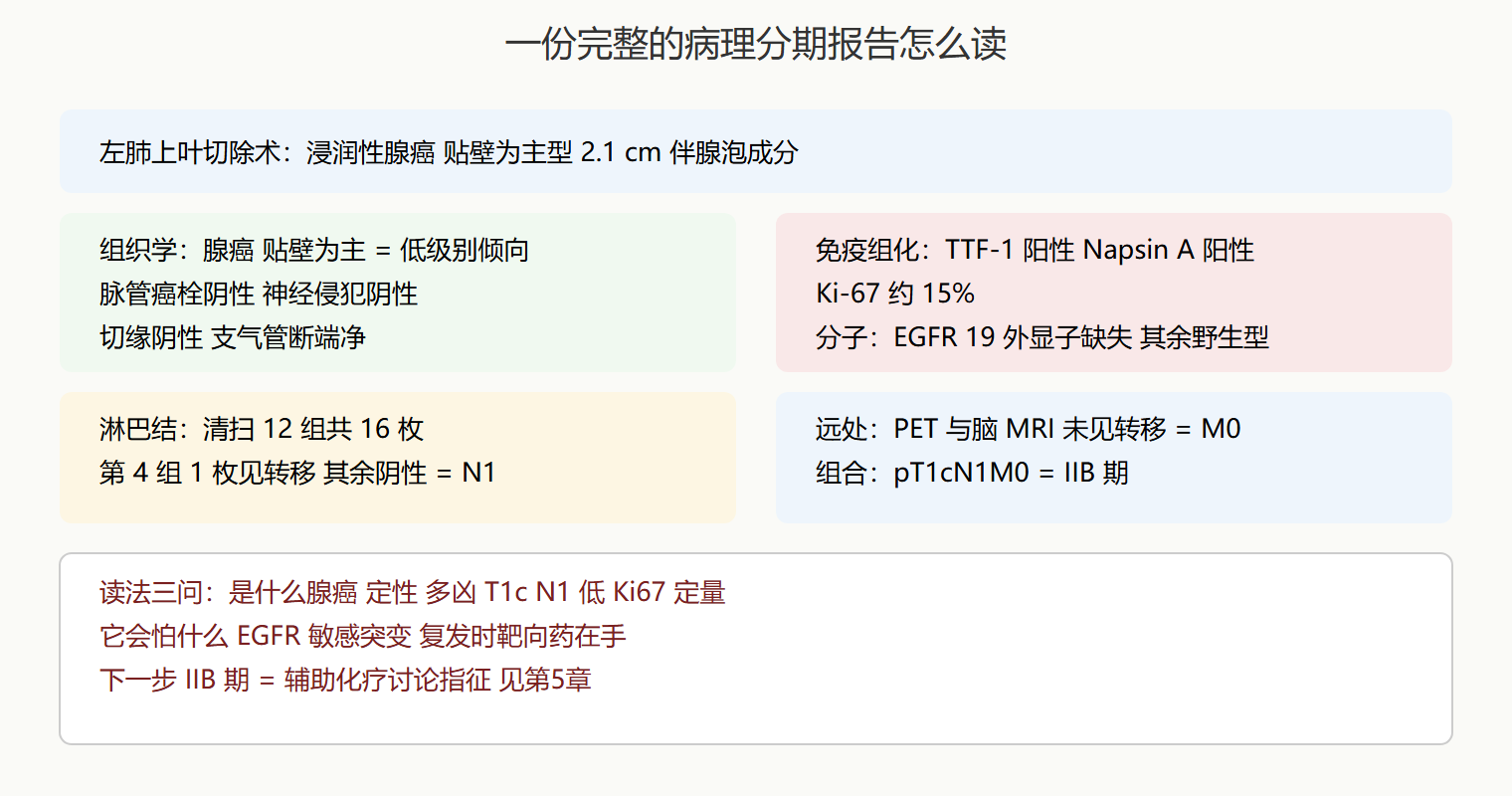一个完整的"敌情报告"示例