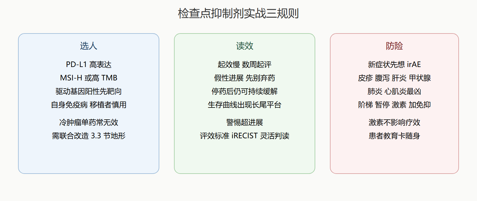免疫治疗规则速览