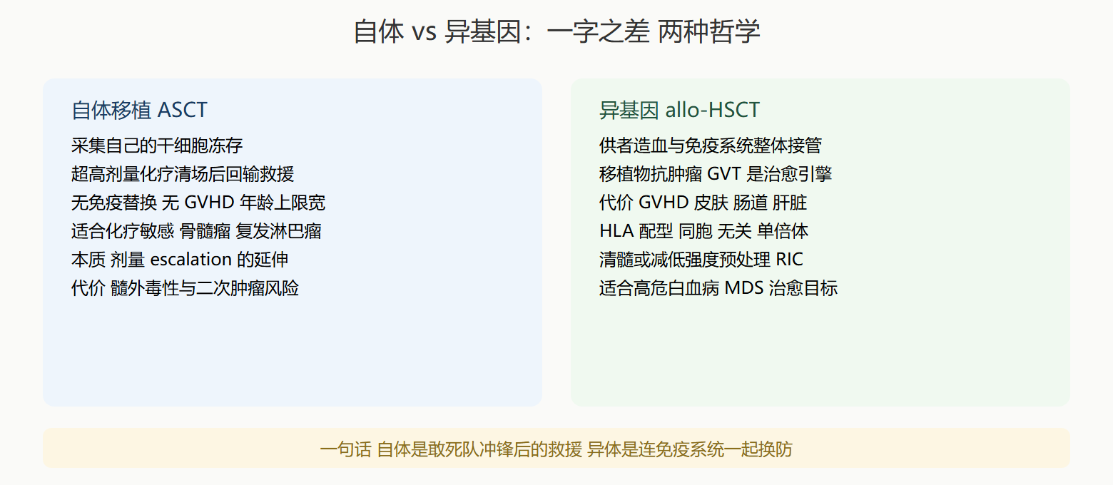 两种移植对照