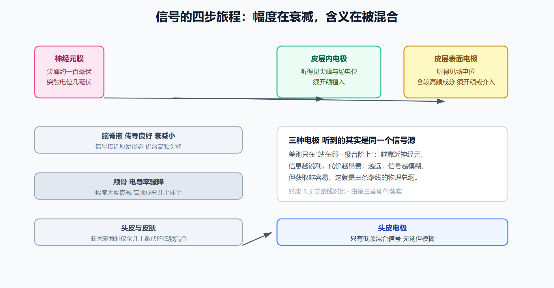 图 2-1：一段信号从突触到电极的四步旅程