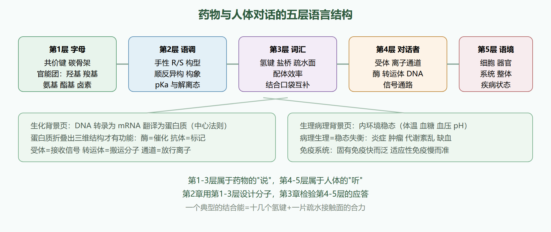 图 1-3 分子语言的层次：从键到人体