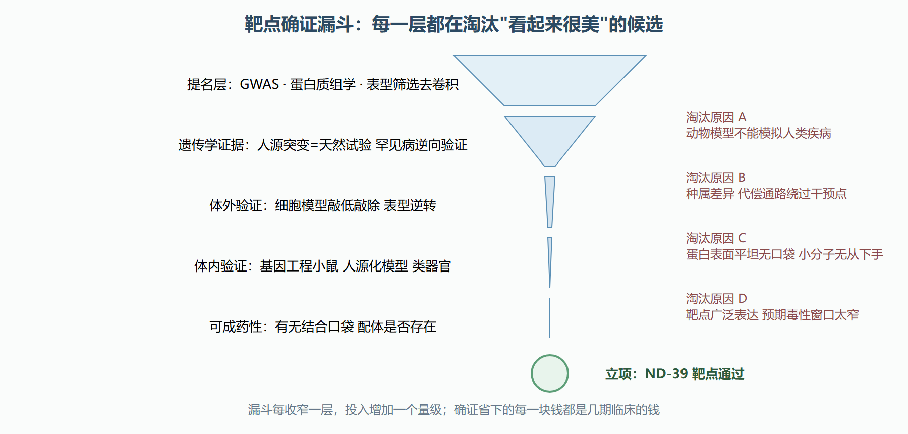 图 2-2 靶点从提名到立项的验证漏斗