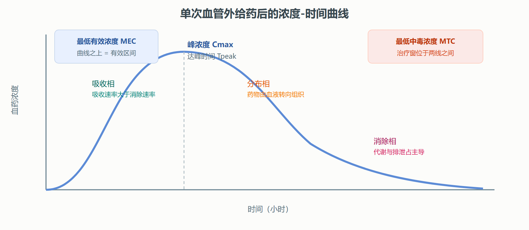 图 1-2 血药浓度-时间曲线与 ADME 各阶段