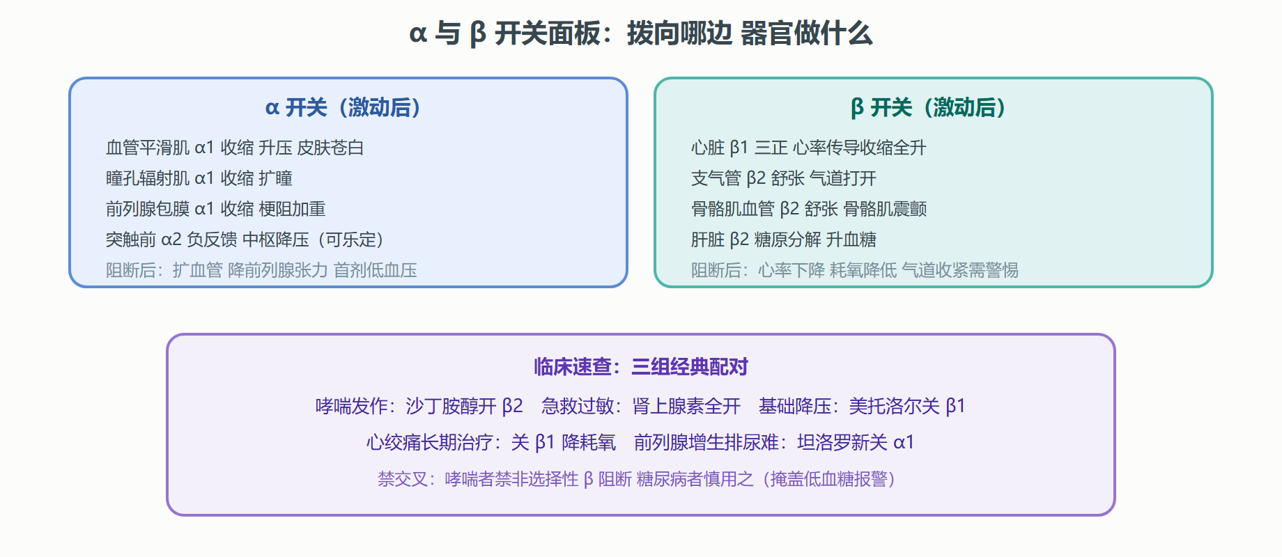 图 2-3 α 与 β 受体在全身的开关面板