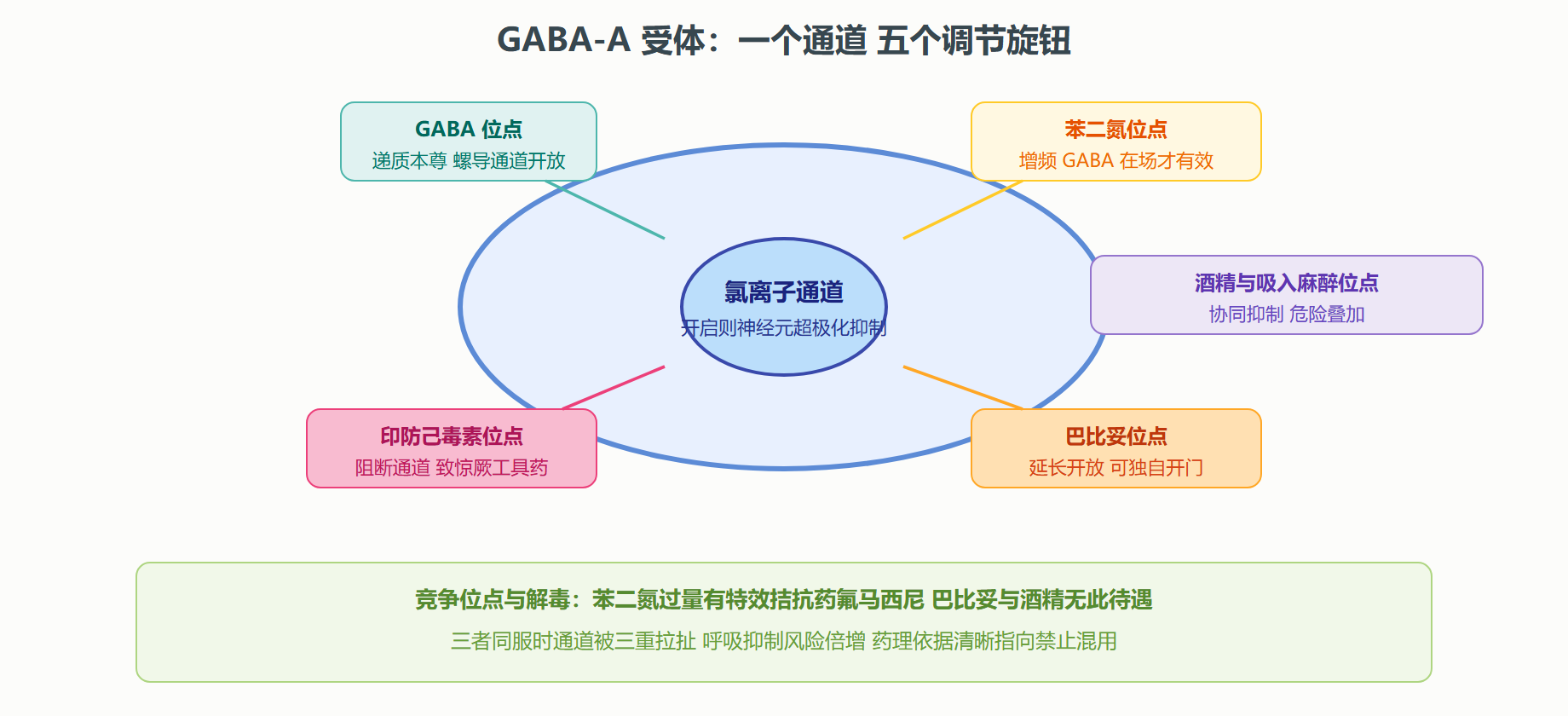 图 2-4 GABA-A 受体复合体与各药物的结合位点