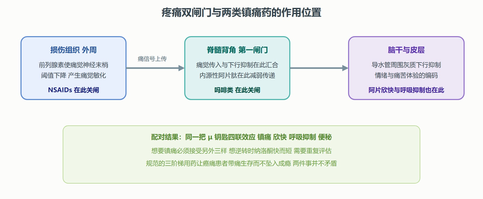 图 2-5 镇痛双闸门：外周敏化与中枢闸门