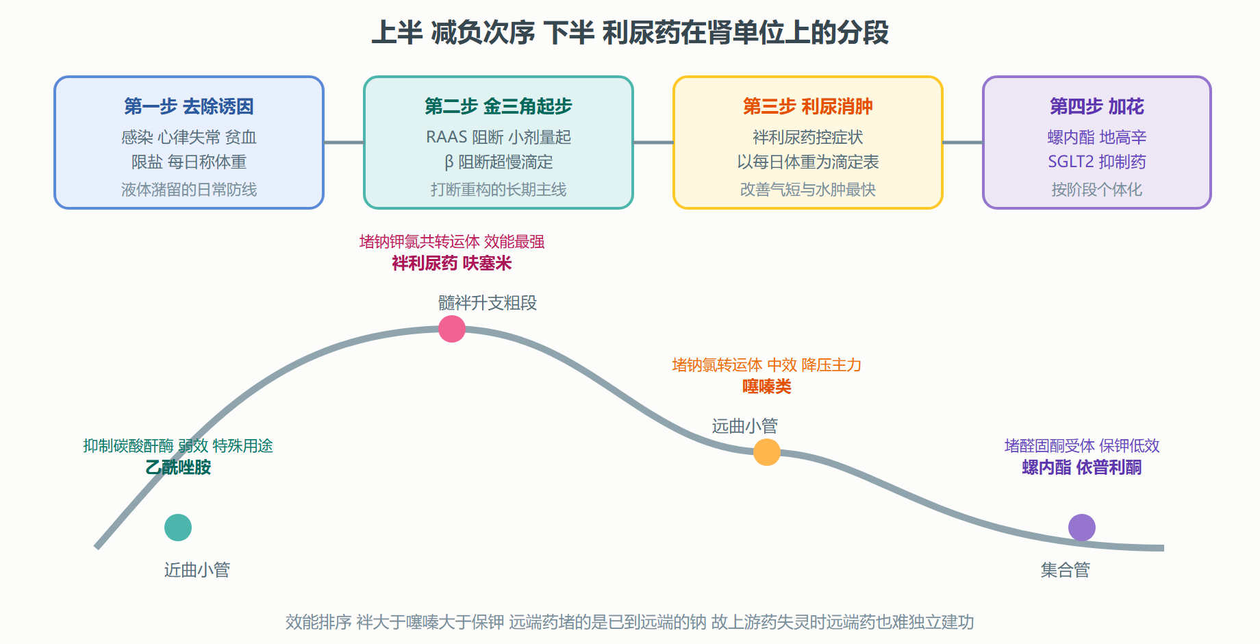 图 3-2 心衰用药次序与肾单位利尿靶点