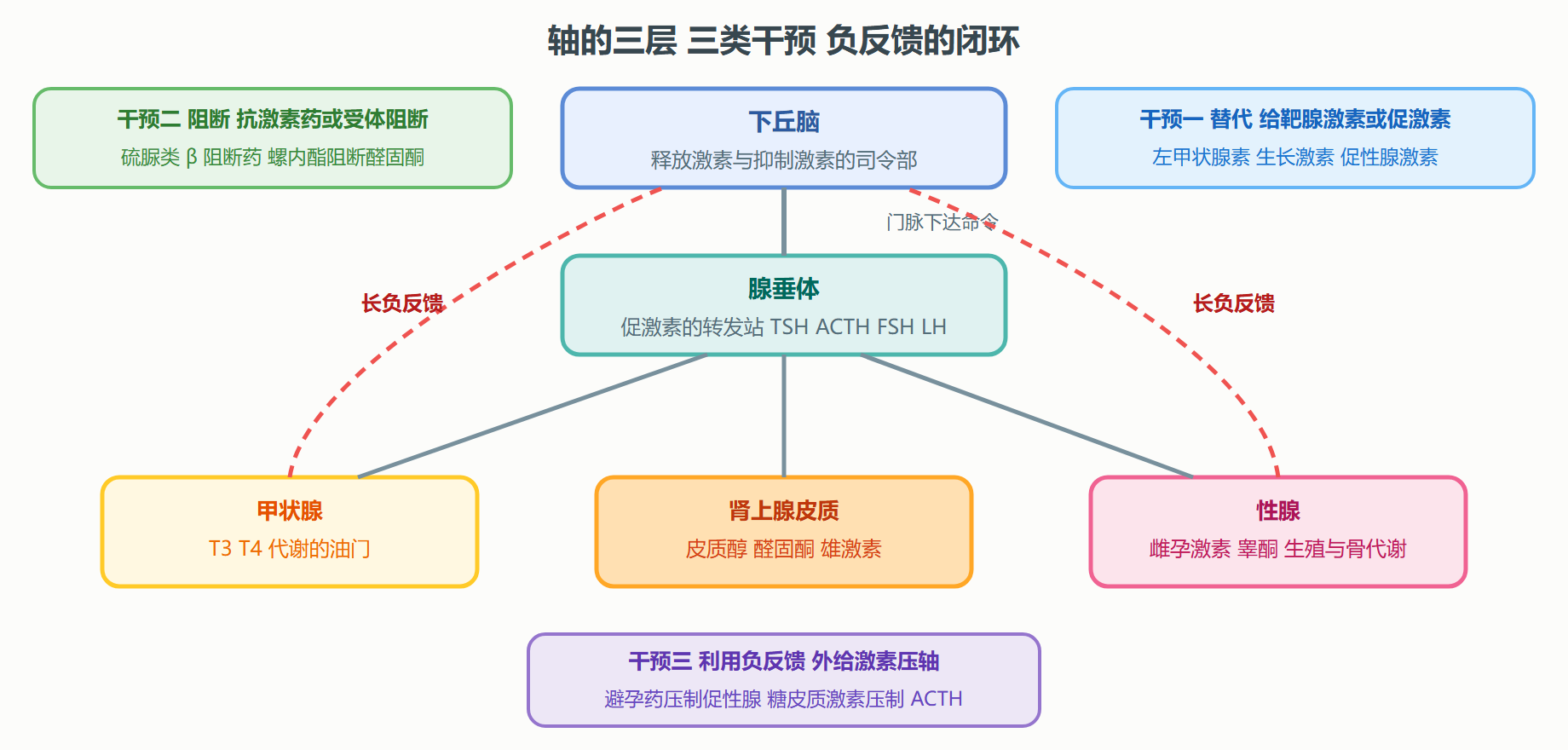 图 5-1 下丘脑-垂体-靶腺轴的一般结构与药物干预点