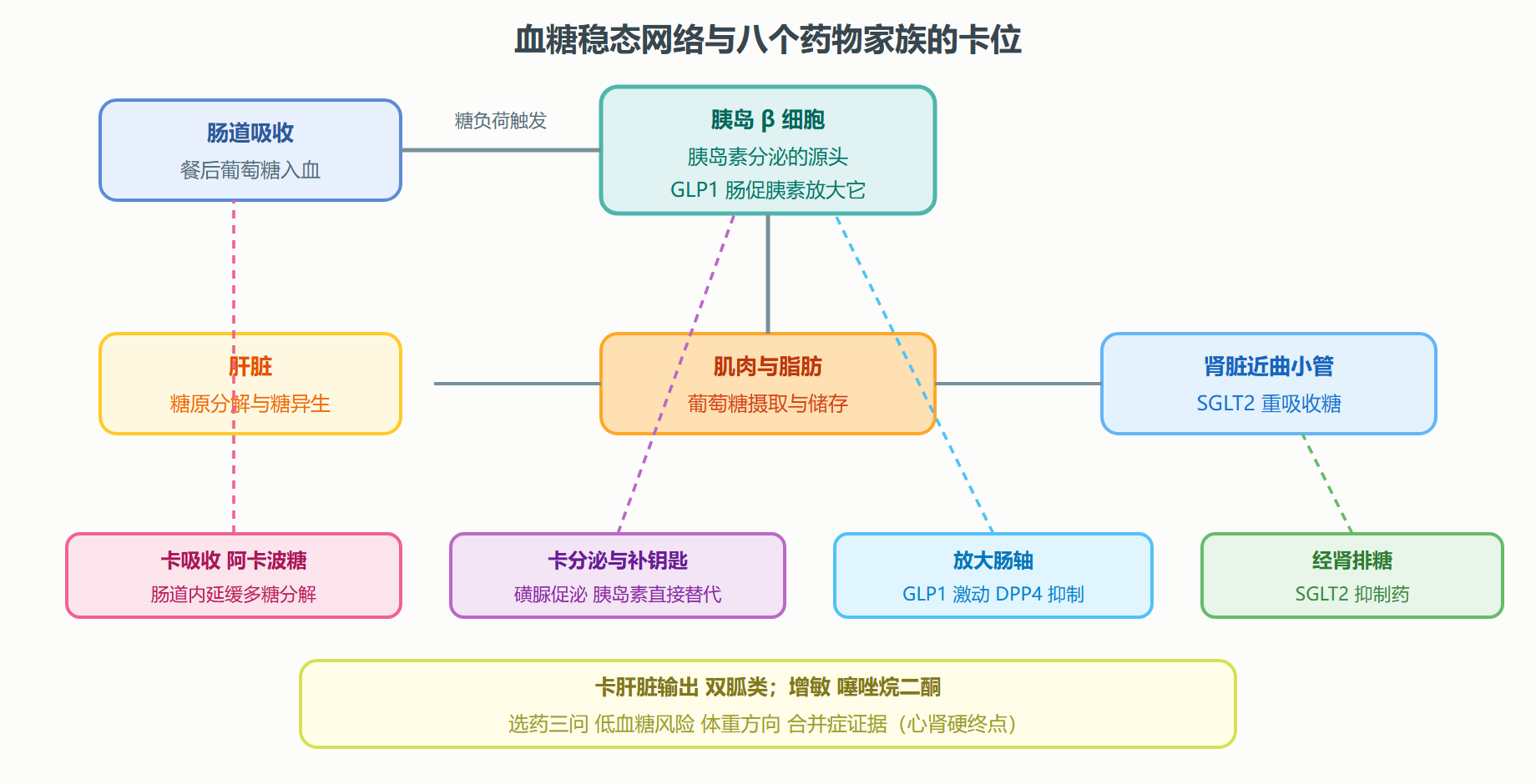 图 5-3 血糖稳态与降糖药物的落点全景