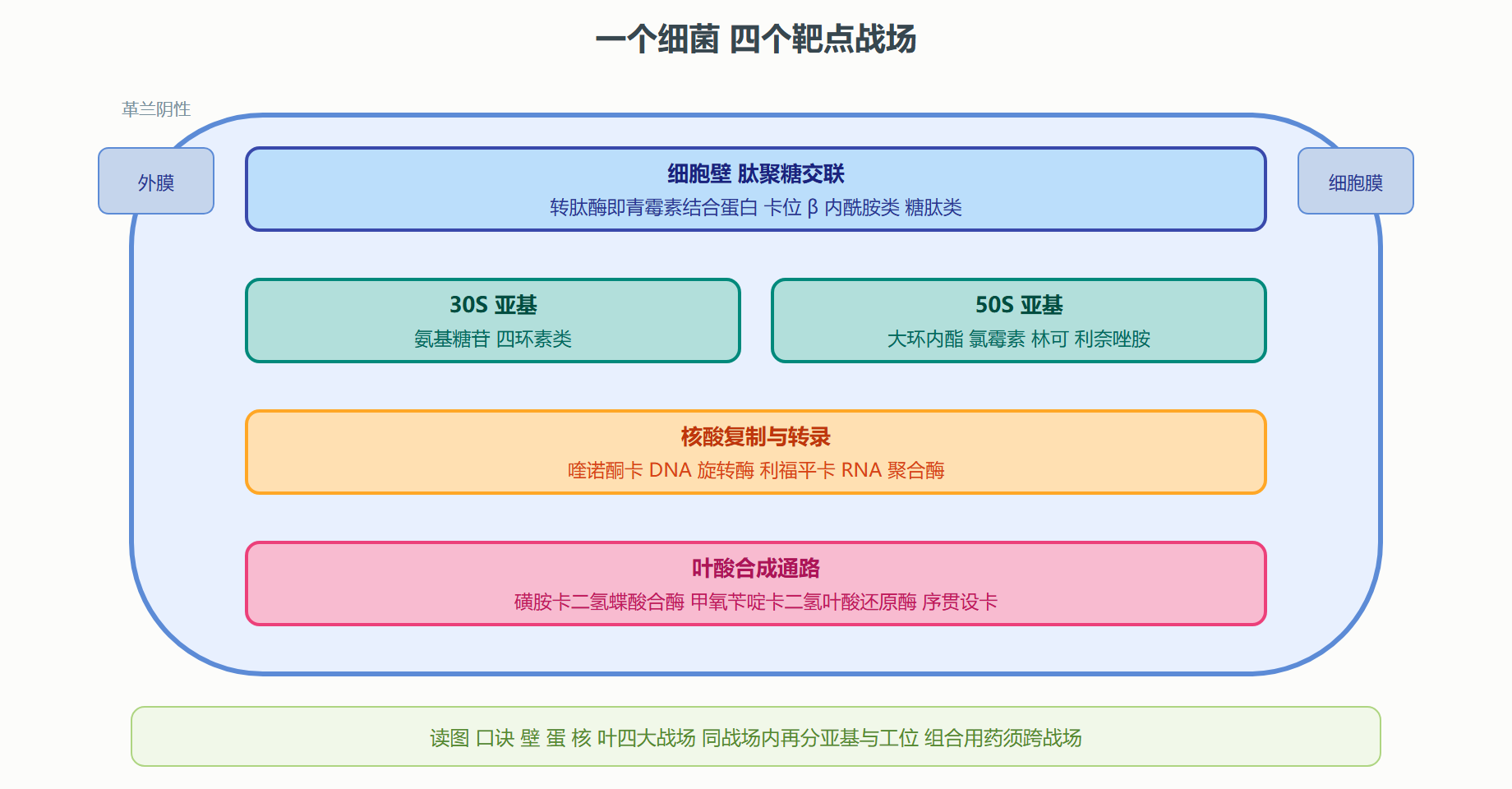 图 6-2 抗菌药物靶点全景图
