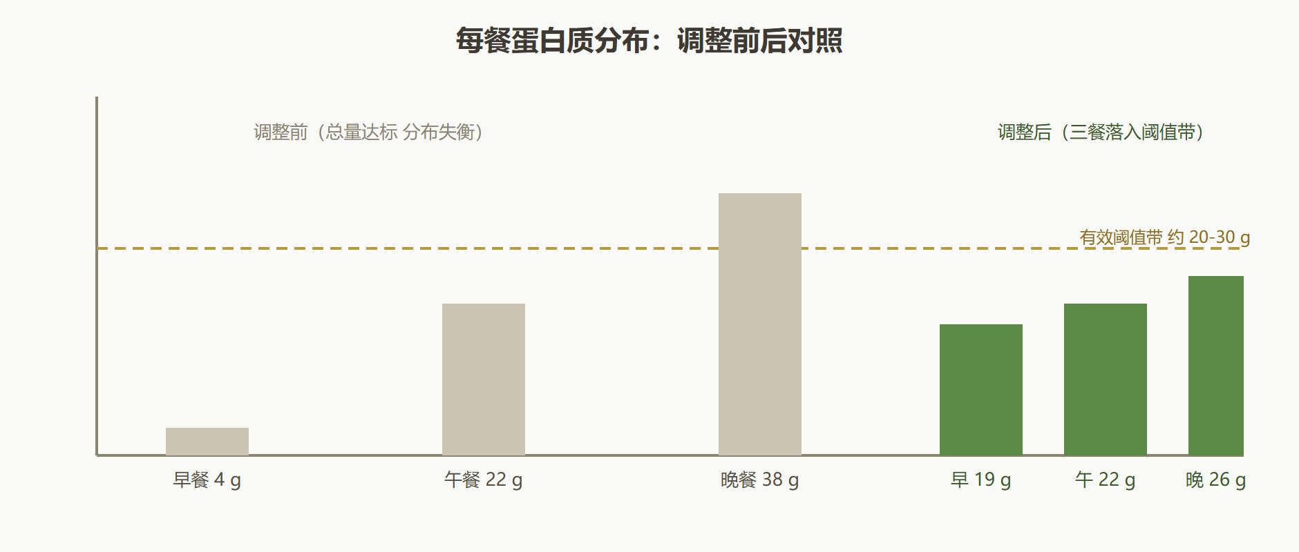 图：每餐蛋白质分布的审计视图