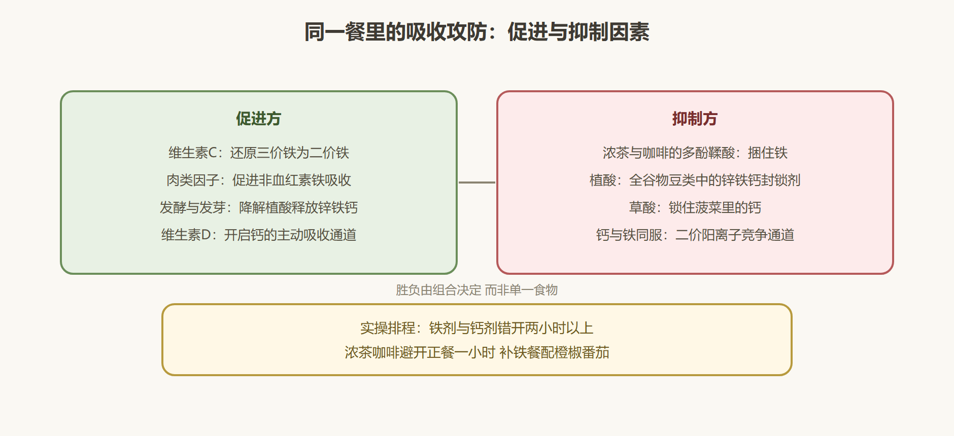 图:一日三餐的矿物质吸收攻防图