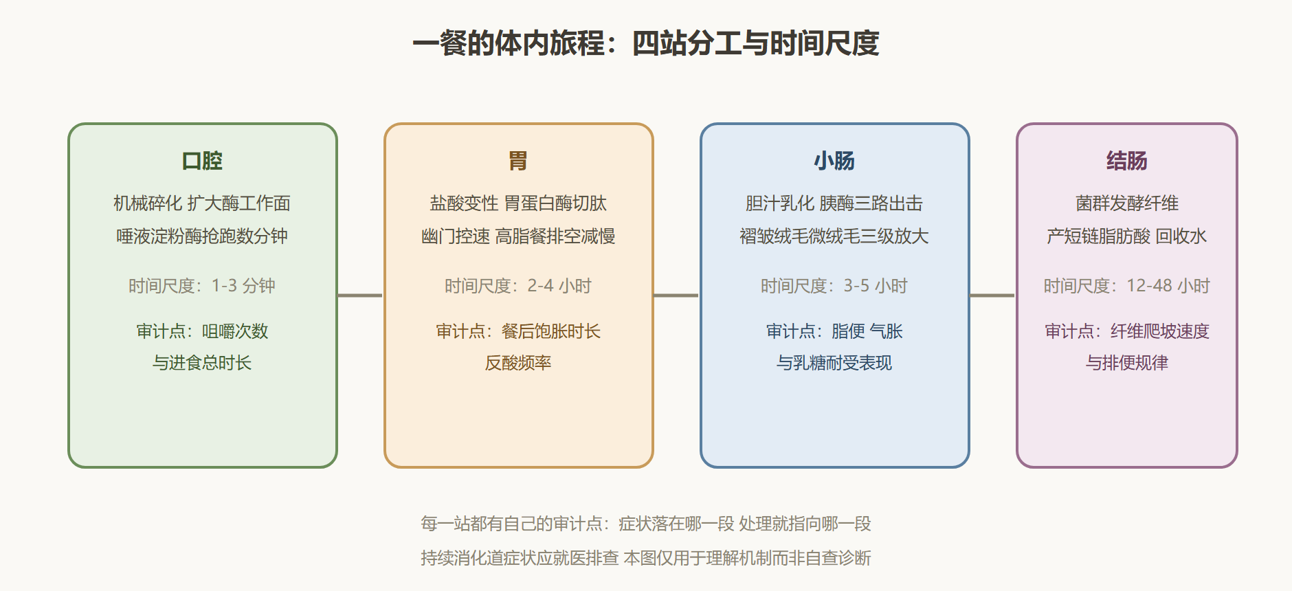 图:一餐的四站流水线