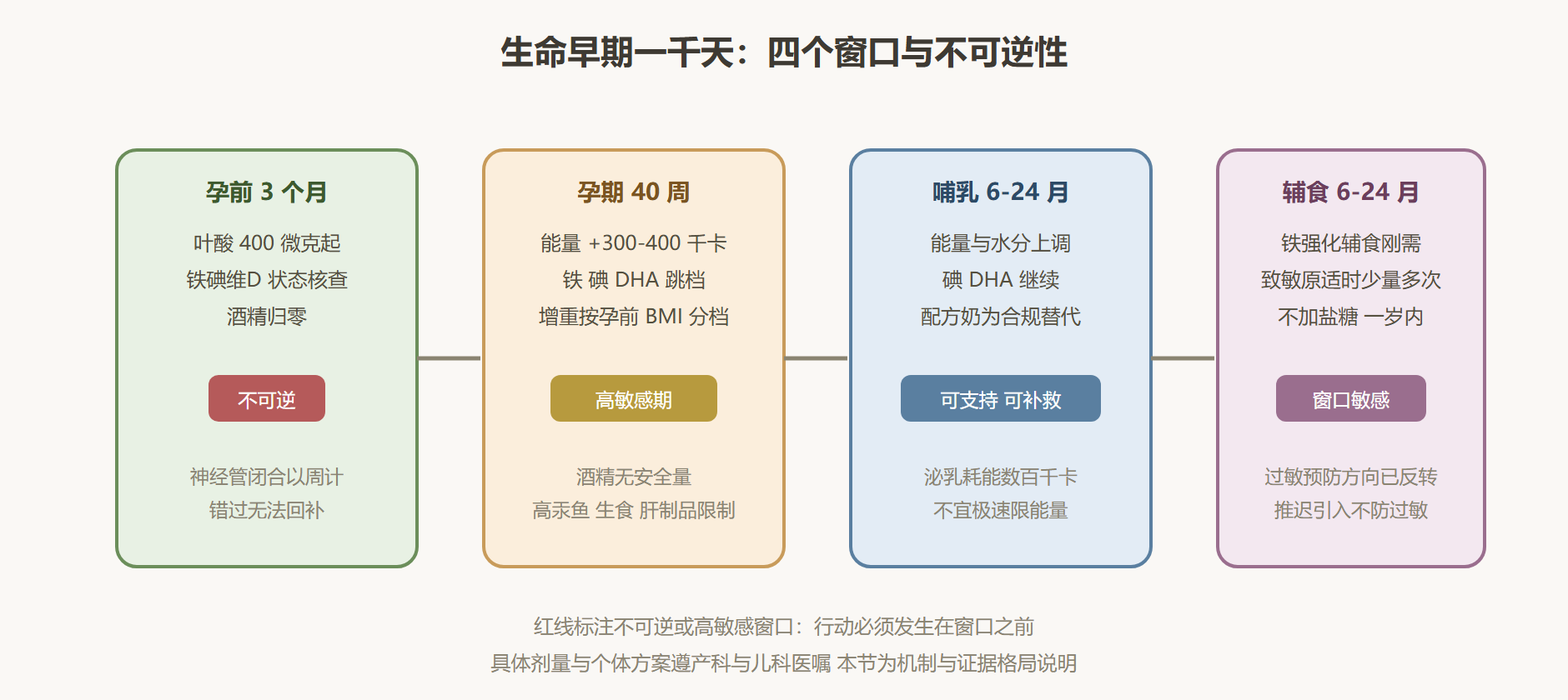 图：一千天的四个关键窗口