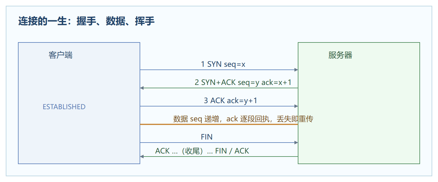 图:一条 TCP 连接的完整一生