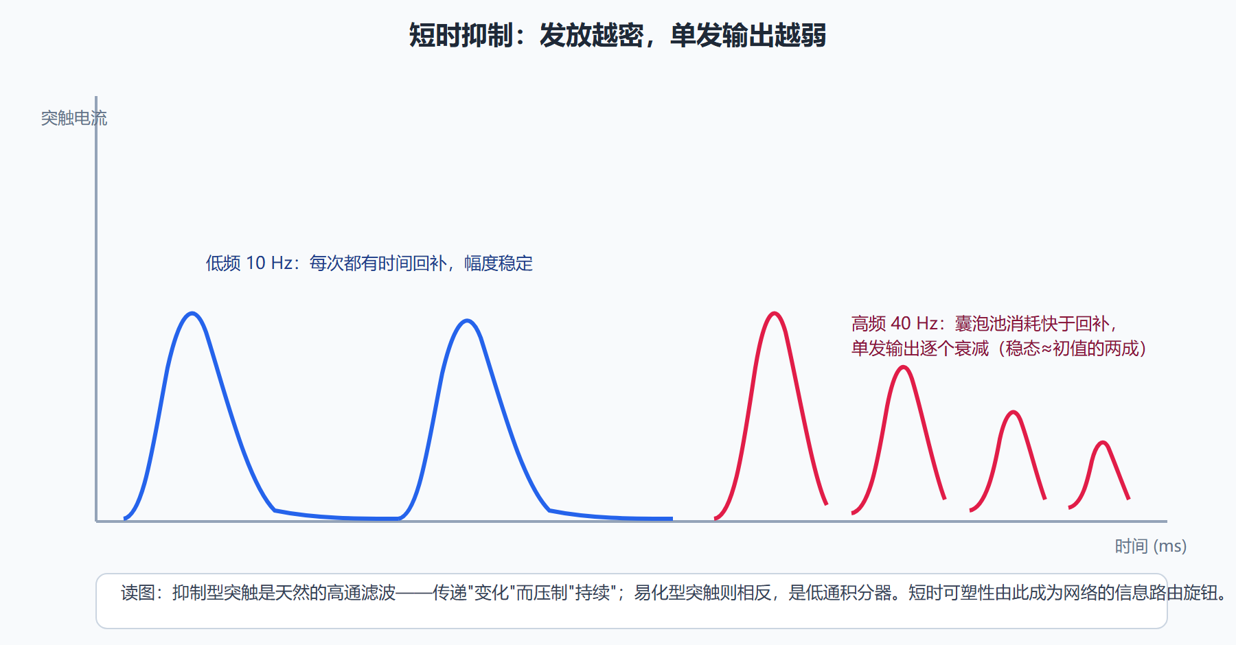 图：同一突触在不同发放频率下的输出增益演化