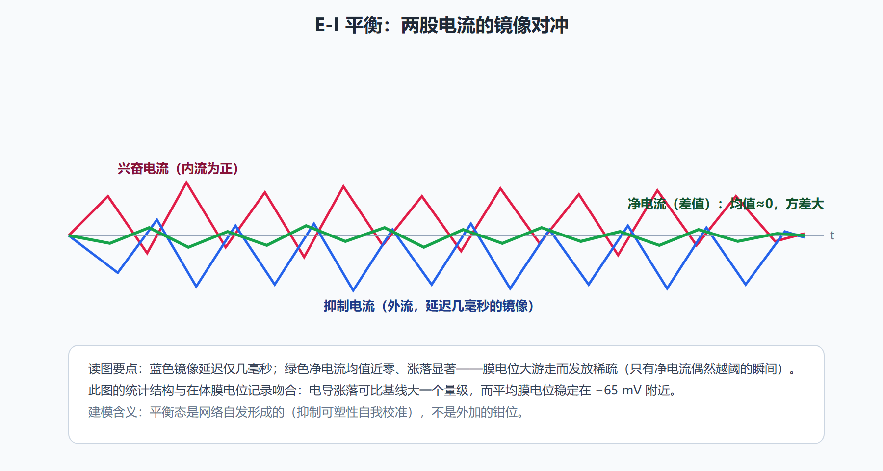 图：平衡网络的一笔账——兴奋与抑制实时对冲