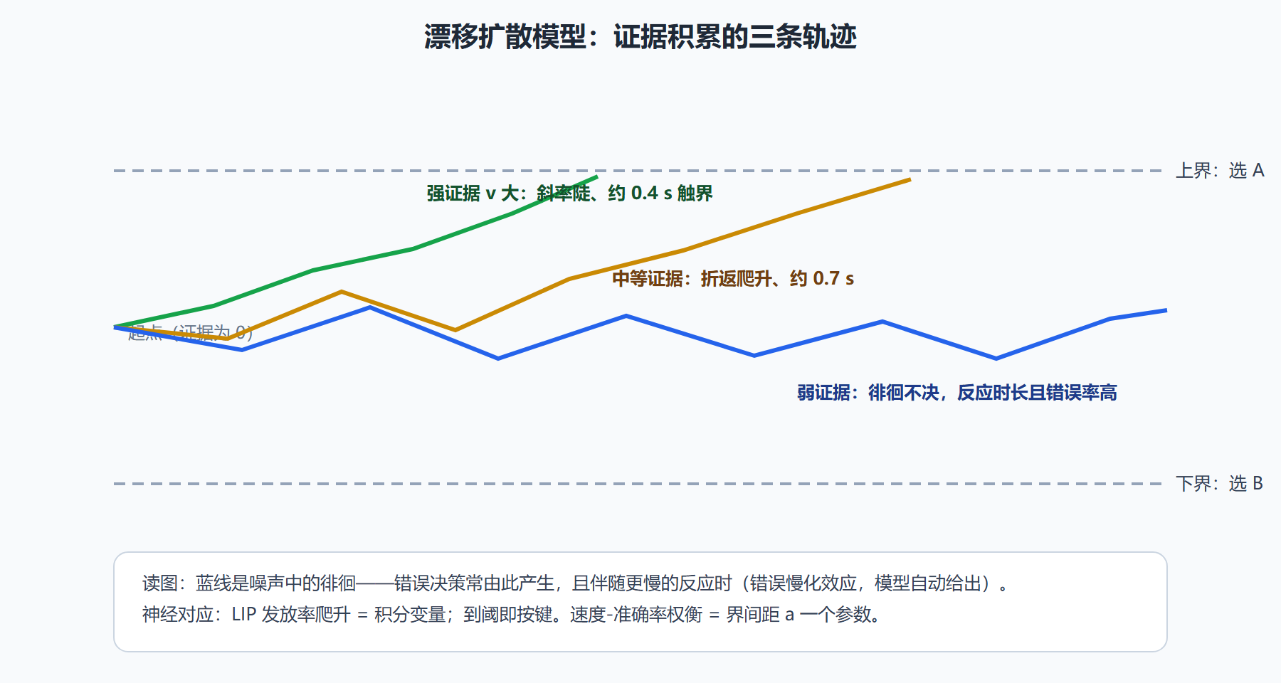 图:漂移扩散——噪声中积累证据,触界即决策