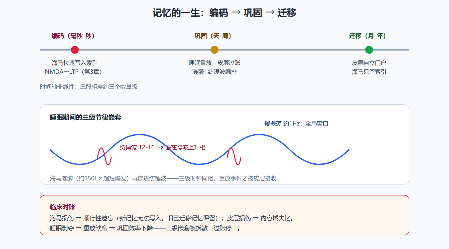 图:记忆巩固的时间线与三级节律嵌套