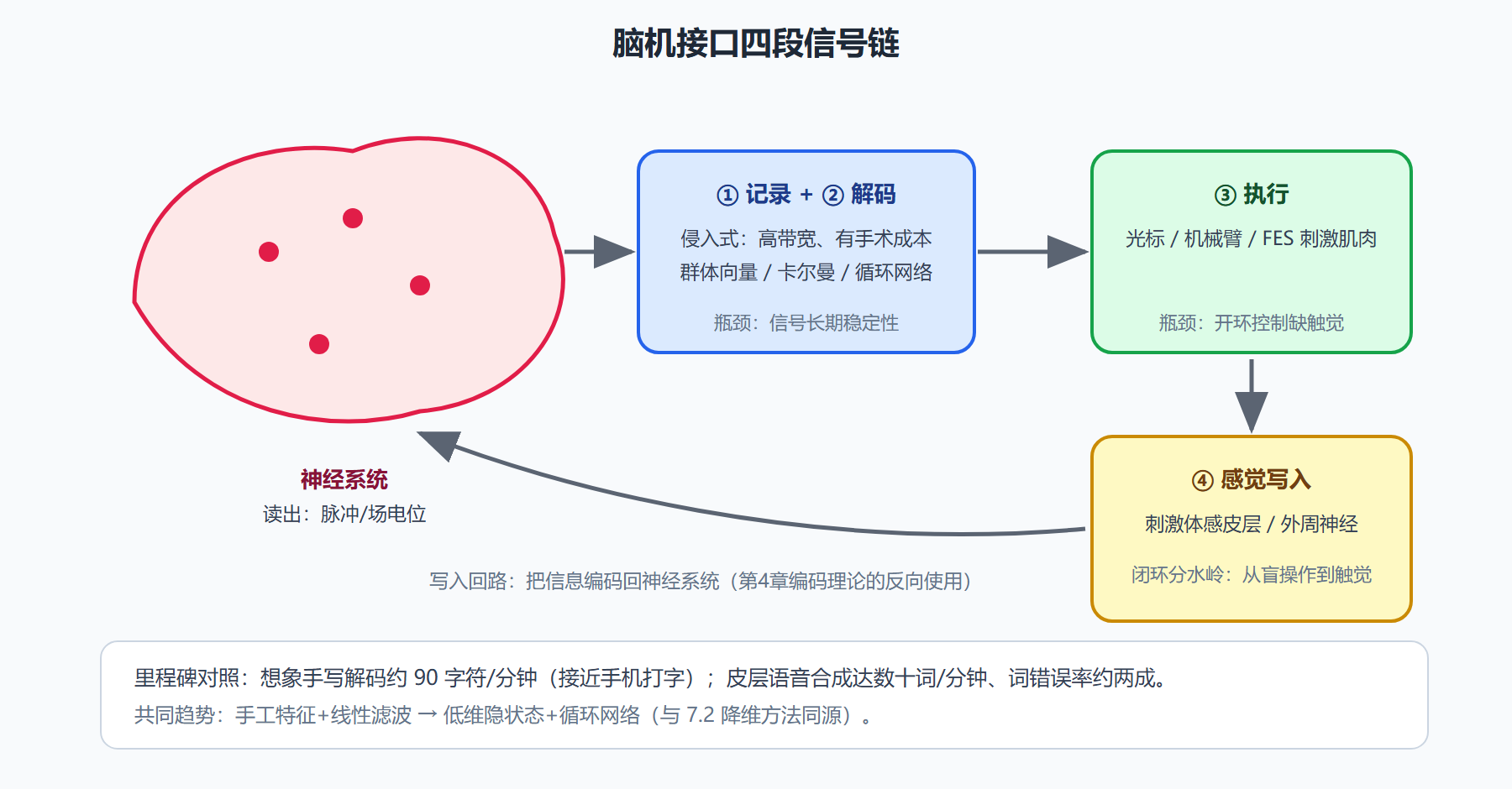 图：BCI 信号链——读出、解码、执行、写入四段
