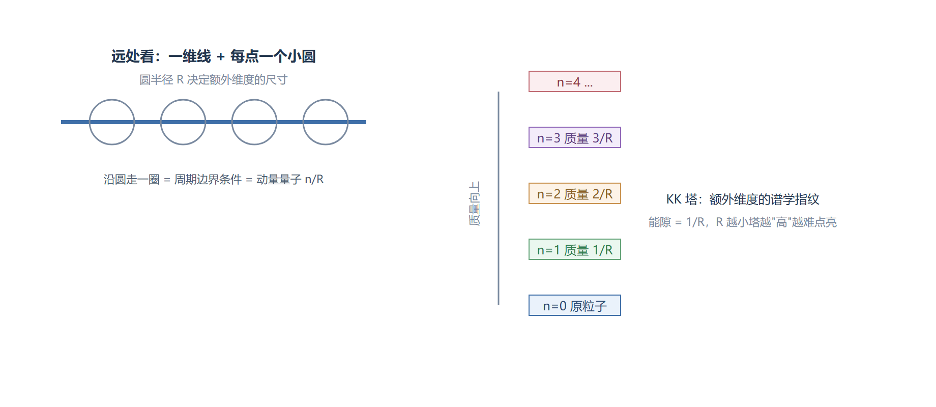 图 卷曲维度与动量塔