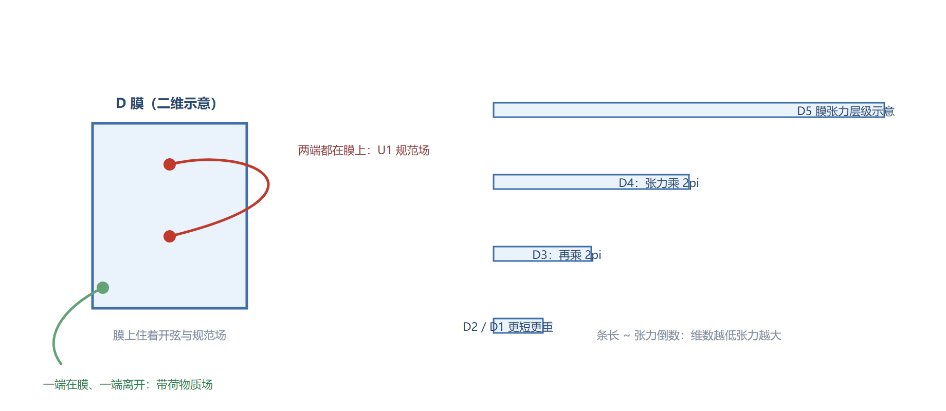 图 D 膜与开弦端点