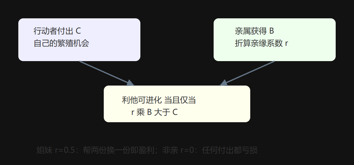 图4-2 亲缘选择的收支账本