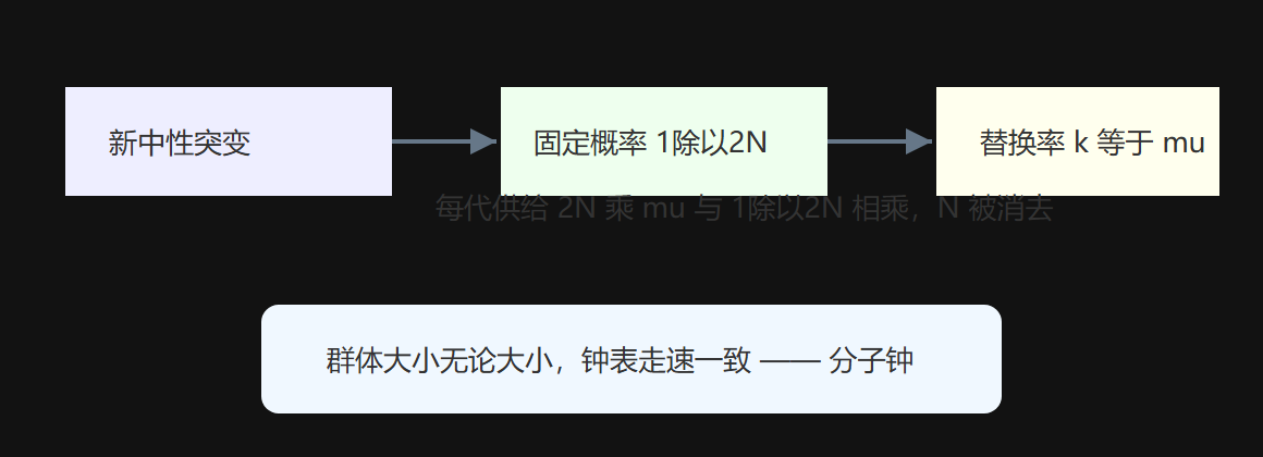 图4-3 中性替换率与群体大小无关的代数链