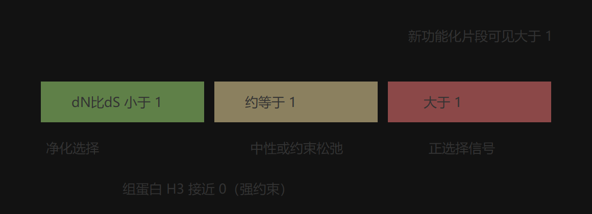 图5-1 dN比dS 三段判读标尺