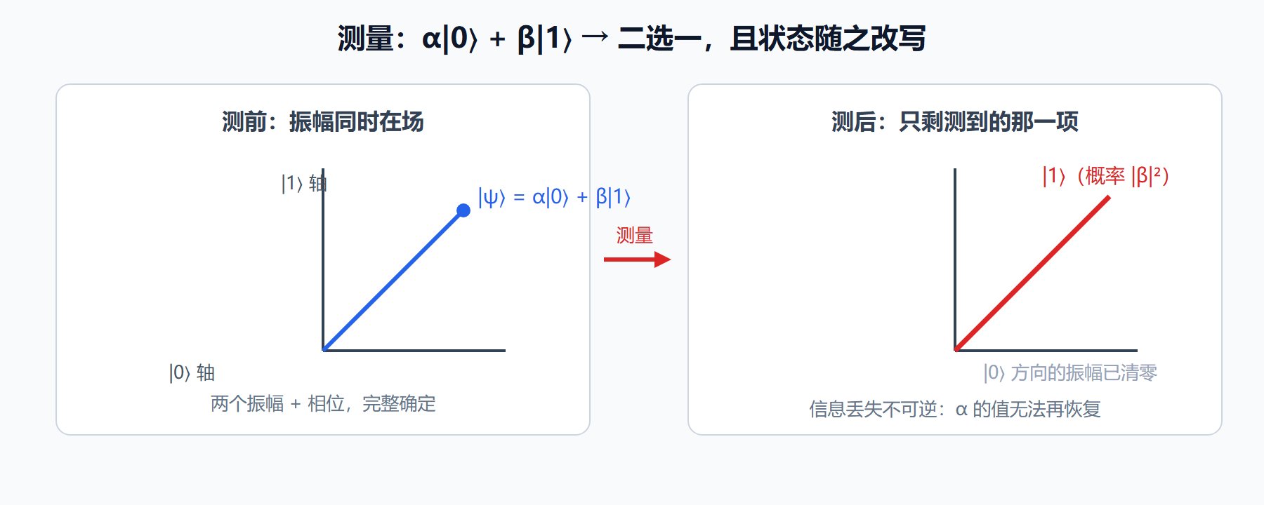 图:测量前后——振幅矢量坍缩为确定基态